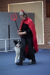 17474_212 : dogs, dwd