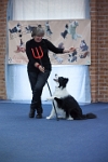 17474_227 : dogs, dwd