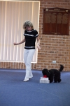 17474_232 : dogs, dwd