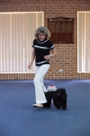 17474_237 : dogs, dwd