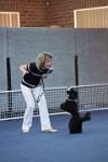 17474_257 : dogs, dwd