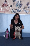 17474_272 : dogs, dwd