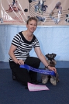 17474_276 : dogs, dwd