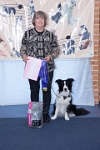 17474_278 : dogs, dwd