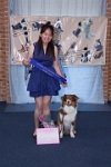 17474_284 : dogs, dwd