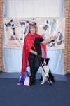 17474_290 : dogs, dwd