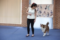 17474_304 : dogs, dwd
