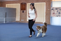 17474_305 : dogs, dwd