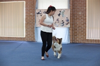 17474_308 : dogs, dwd