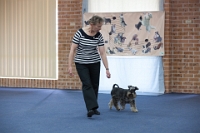 17474_318 : dogs, dwd