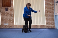 17474_324 : dogs, dwd