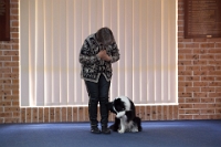 17474_335 : dogs, dwd