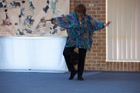 17474_350 : dogs, dwd