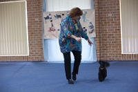 17474_355 : dogs, dwd