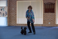 17474_359 : dogs, dwd