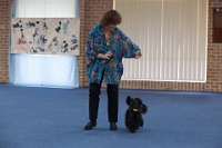 17474_363 : dogs, dwd