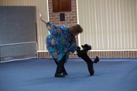 17474_364 : dogs, dwd