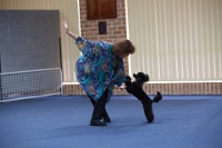 17474_365 : dogs, dwd