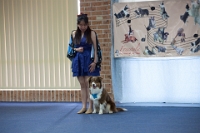 17474_366 : dogs, dwd