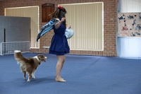 17474_368 : dogs, dwd