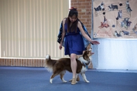 17474_372 : dogs, dwd