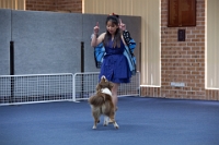 17474_374 : dogs, dwd