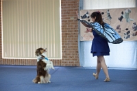 17474_385 : dogs, dwd