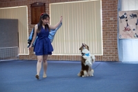 17474_387 : dogs, dwd