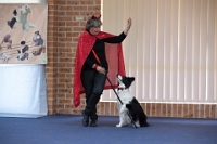 17474_390 : dogs, dwd