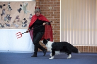 17474_391 : dogs, dwd
