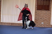 17474_392 : dogs, dwd