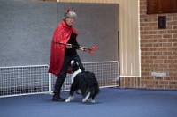 17474_397 : dogs, dwd