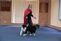 17474_401 : dogs, dwd