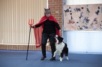 17474_406 : dogs, dwd