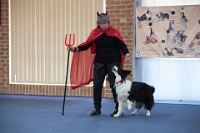 17474_407 : dogs, dwd