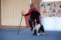 17474_408 : dogs, dwd