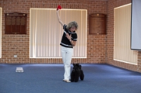 17474_418 : dogs, dwd