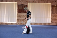 17474_421 : dogs, dwd