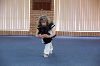 17474_423 : dogs, dwd