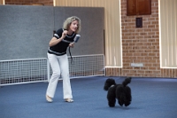 17474_434 : dogs, dwd