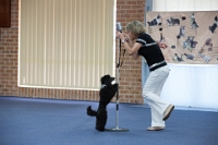 17474_439 : dogs, dwd