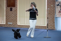 17474_448 : dogs, dwd