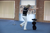 17474_449 : dogs, dwd