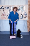 17474_455 : dogs, dwd