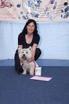 17474_456 : dogs, dwd