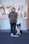 17474_460 : dogs, dwd