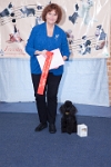 17474_462 : dogs, dwd